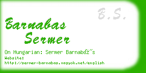 barnabas sermer business card